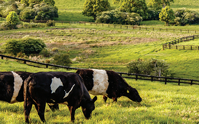 Protecting Australia’s biosecurity