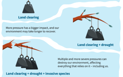 Creating effective infographics