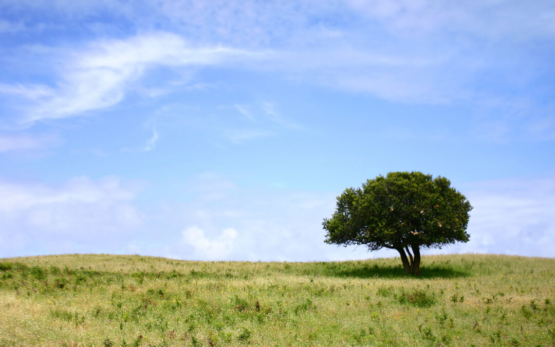 Exploring climate change science, information and resources